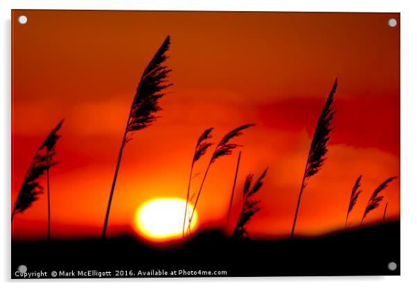 Sunset Rainham Marshes UK Acrylic by Mark McElligott
