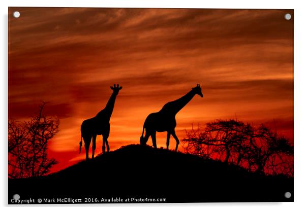 Giraffe Silhouette  Acrylic by Mark McElligott