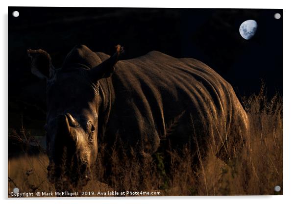 Rhino In The Evening Darkness Acrylic by Mark McElligott
