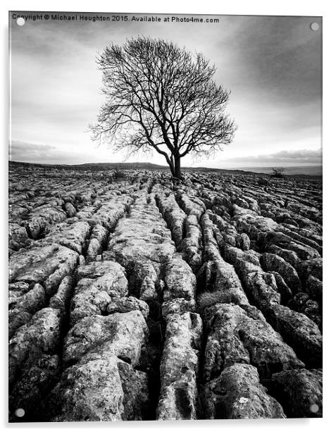  Malham Ash Acrylic by Michael Houghton