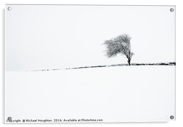 Winter tree Acrylic by Michael Houghton