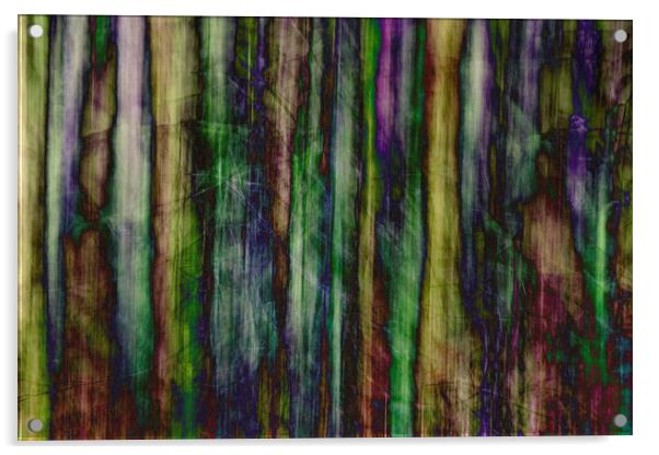 Stained Glass Woods Acrylic by Michael Houghton