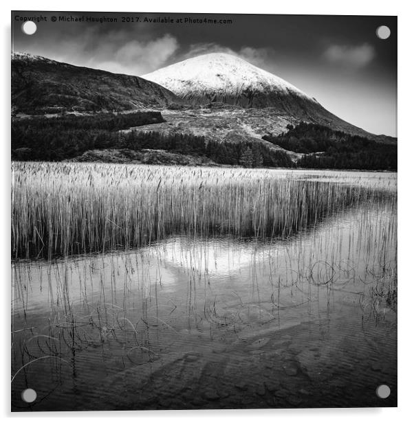 Reeds on Loch Cill Chriosd Acrylic by Michael Houghton