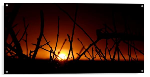  Belvoir Sunrise Acrylic by Andy McDonald
