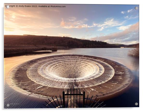 Lady Bower Plug Hole Acrylic by Andy Evans