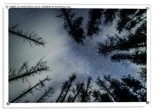 Llanddwyn forest stars Acrylic by Andy Evans
