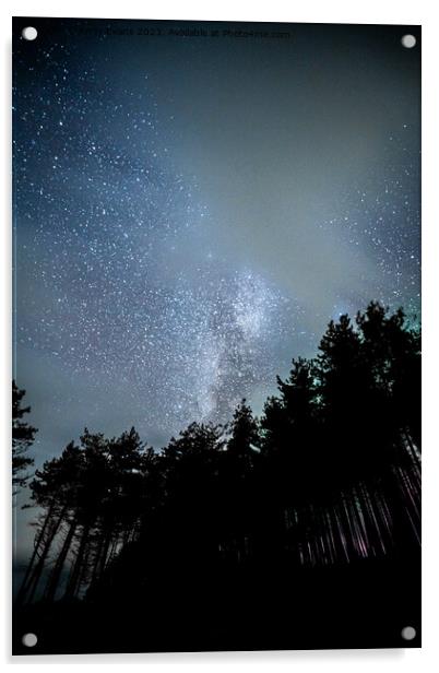 Newborough Forest stars Acrylic by Andy Evans