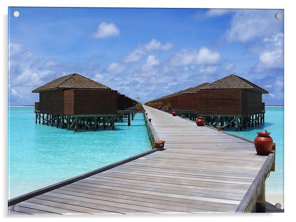 Maldives Water villas Acrylic by Andy Evans