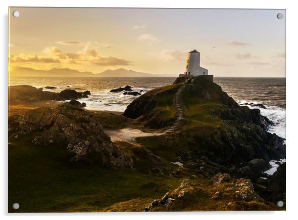 LLanddwyn Warmth Acrylic by Andy Evans