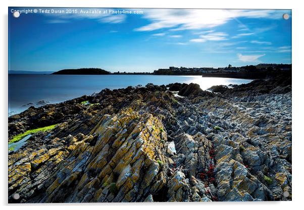 Barry Island Wales Acrylic by Tedz Duran