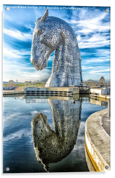  A Reflected Kelpie Acrylic by Mark Denham