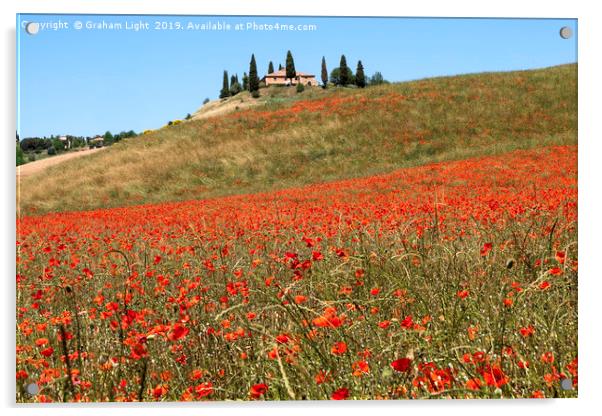 Poppy fields, Tuscany Acrylic by Graham Light
