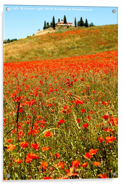 Poppy fields, Tuscany Acrylic by Graham Light