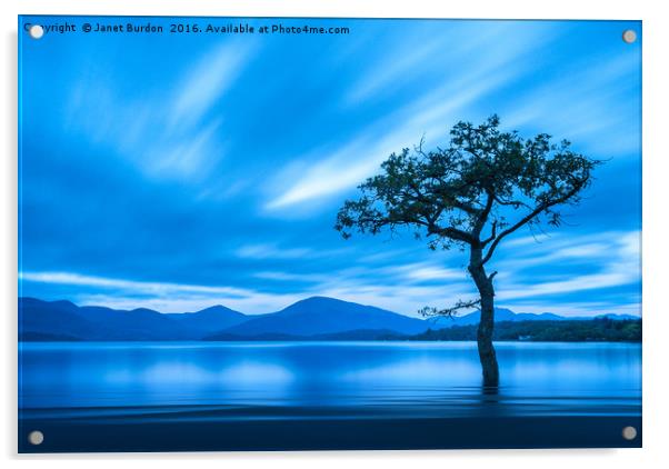 Lone Tree, Milarrochy Bay  Acrylic by Janet Burdon