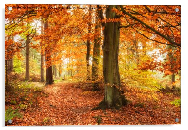 Autumn Woodland Acrylic by Janet Burdon