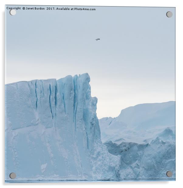 Kangia Iceberg Acrylic by Janet Burdon