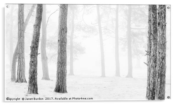 Winter Woodland Acrylic by Janet Burdon