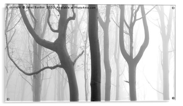 Misty Beech Wood #2 Acrylic by Janet Burdon
