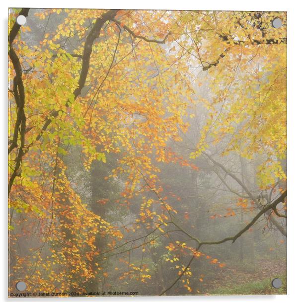 An Impression of Autumn  Acrylic by Janet Burdon