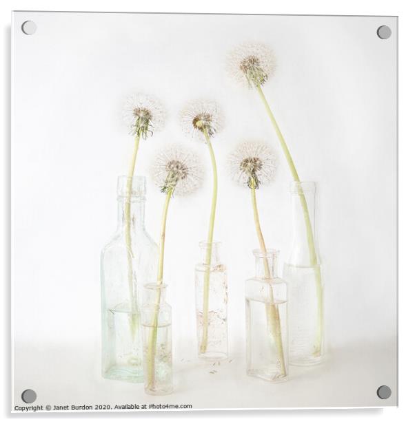 Five Dandelions Acrylic by Janet Burdon