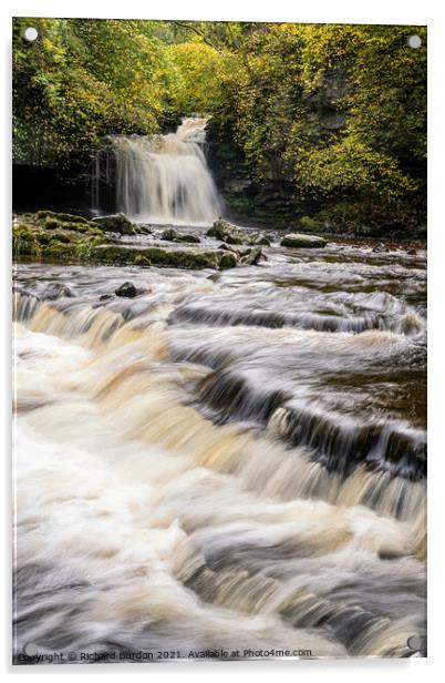 West Burton Falls Acrylic by Richard Burdon