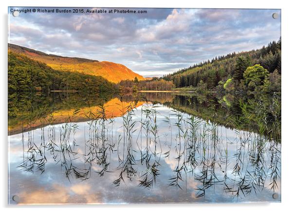  Autumn light Loch Ard Acrylic by Richard Burdon