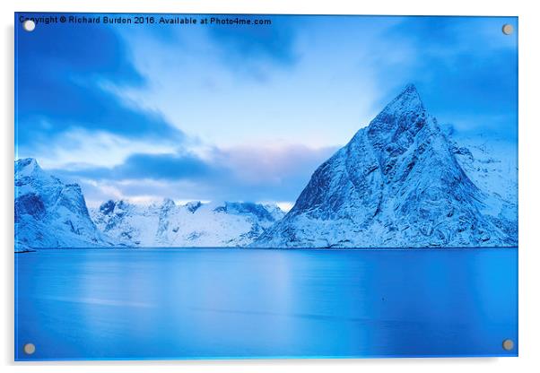  Cool Blue Dawn over Mount Olstind Acrylic by Richard Burdon