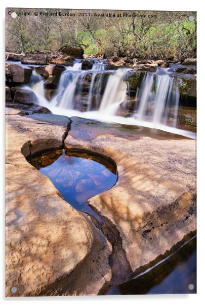 Wain Wath Force, Swaledale Acrylic by Richard Burdon