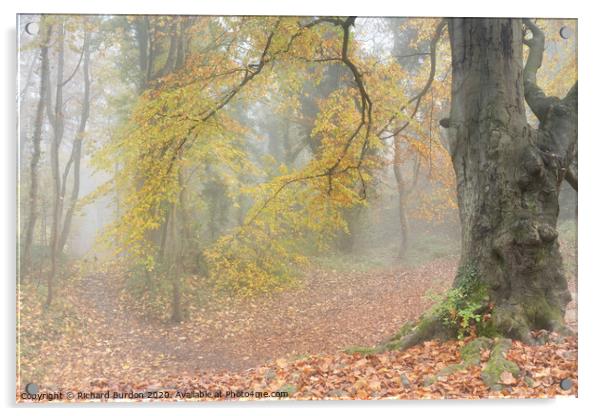 Autumn Mists Acrylic by Richard Burdon