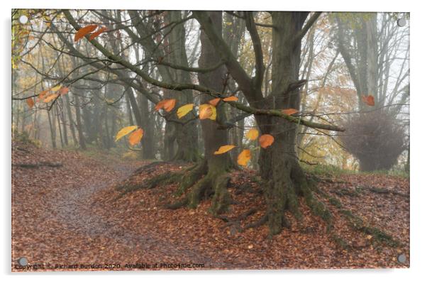 Autumn Leaves Acrylic by Richard Burdon