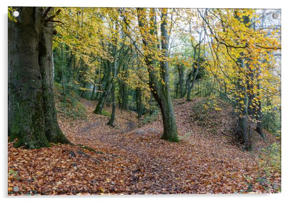 A Walk In The Woods Acrylic by Richard Burdon