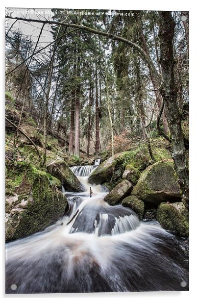  Wyming Brook Acrylic by Lee Wright