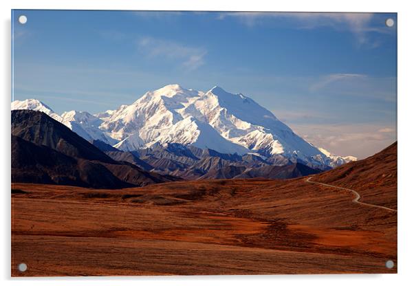 Mount McKinley Acrylic by Gail Johnson