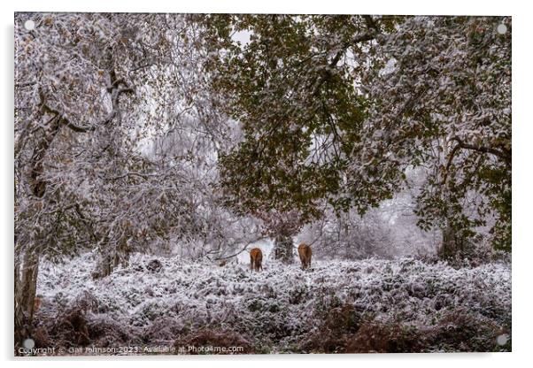 A snowy start to a walk in the Uk with deer  Acrylic by Gail Johnson