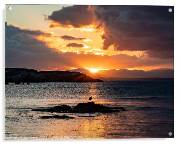 Sunrise from rhoscolyn Beach looking to Snowdonia Acrylic by Gail Johnson
