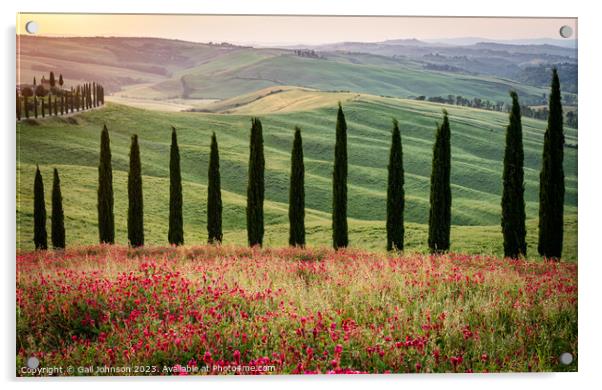 Views travelling around Tuscany, Italy  Acrylic by Gail Johnson