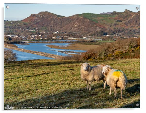 Views around Porthmadog countryside north Wales uk Acrylic by Gail Johnson