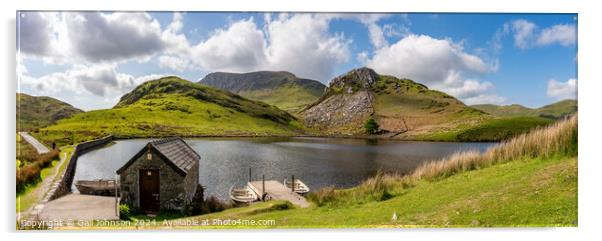 Llyn y Dywarchen a small fishing lake in Snowdonia  Acrylic by Gail Johnson