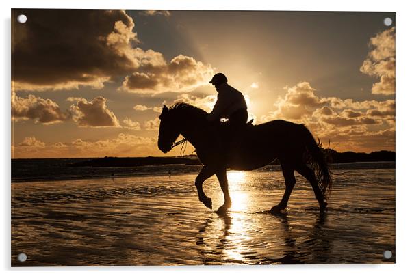 Horse on the beach Acrylic by Gail Johnson