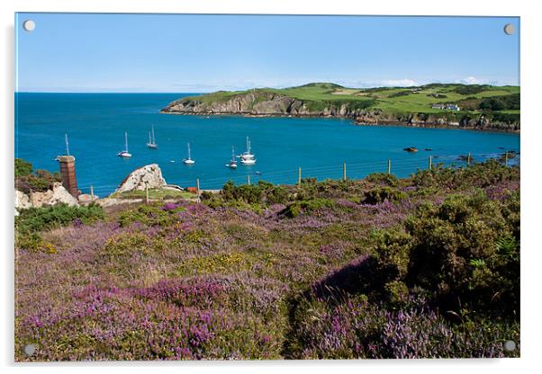 Porth Wen Acrylic by Gail Johnson