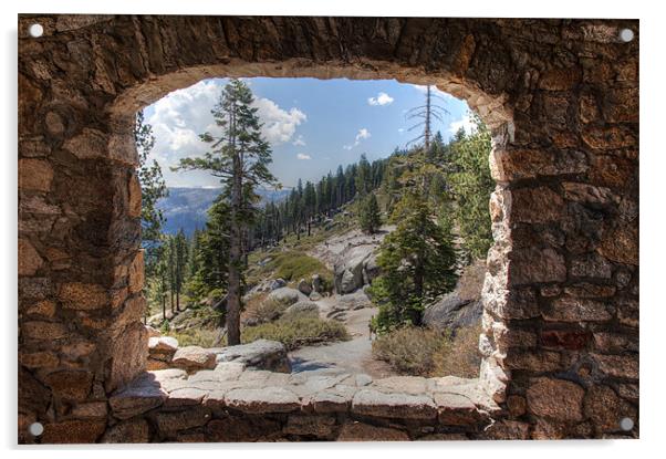 Yosemite National  Park Acrylic by Gail Johnson
