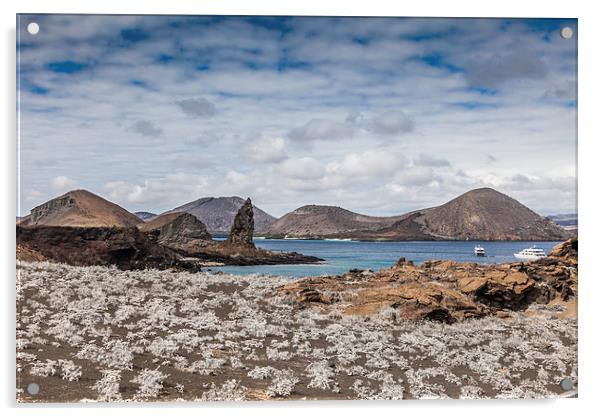  Bartolome Island - Galapagos Acrylic by Gail Johnson