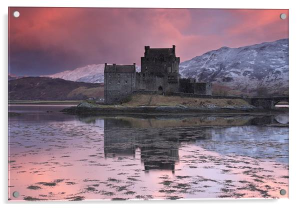 Eilean Donan Castle Acrylic by Gail Johnson