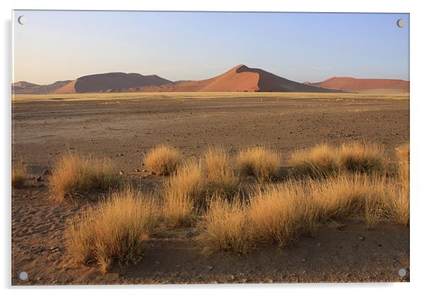 Sossusvlei sand dune national park Acrylic by Gail Johnson