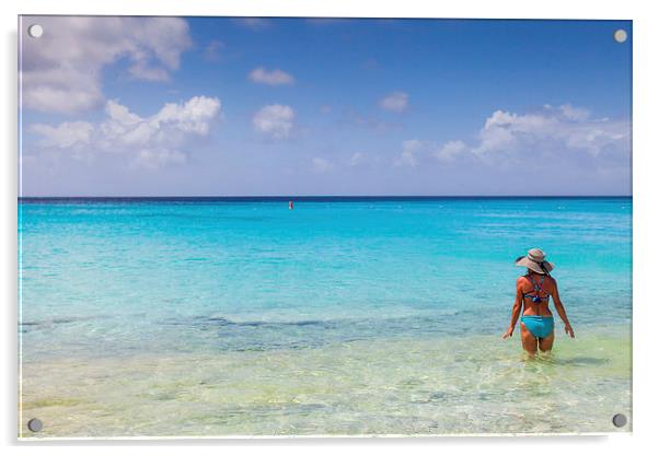 Views around Curacao Caribbean island Acrylic by Gail Johnson