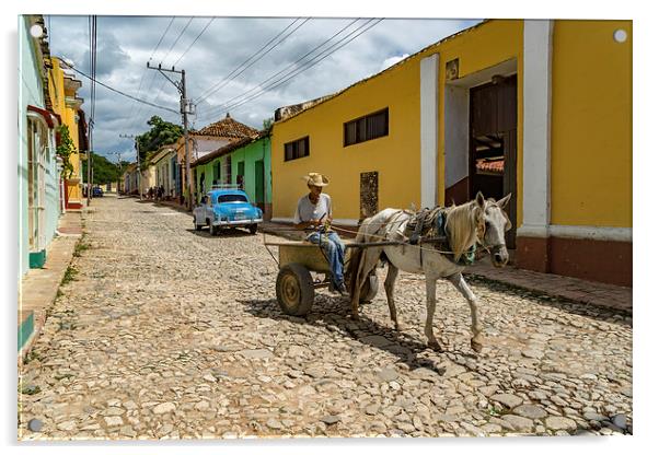 Trinidad City - horse and cart Acrylic by Gail Johnson