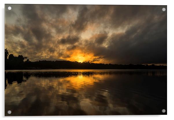 Essequibo river sunrise Acrylic by Gail Johnson