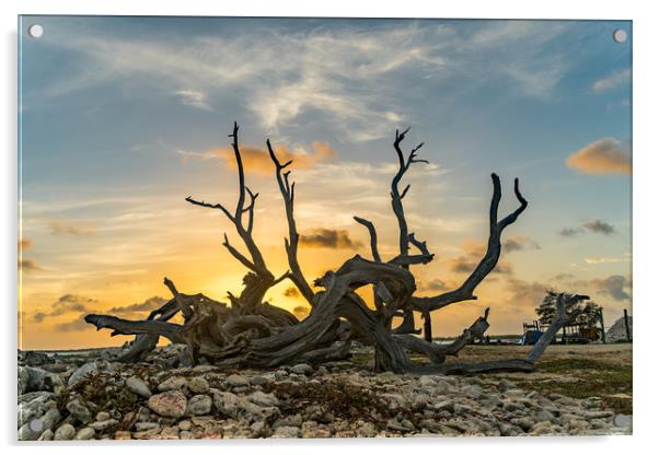 Bonaire Sunset Acrylic by Gail Johnson