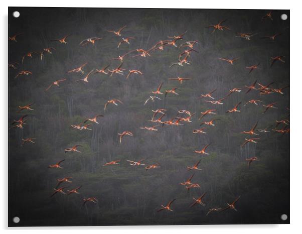 Flamingos at the salt pans Acrylic by Gail Johnson