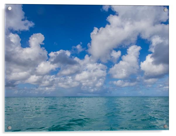     Scuba Diving at Jeremi Beach   Curacao views Acrylic by Gail Johnson